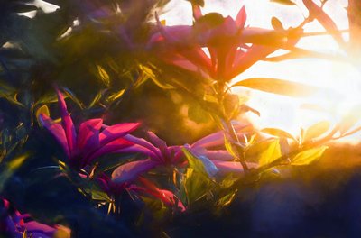 Last Golden Moment by Helen White